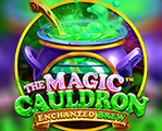 The Magic Cauldron - Enchanted Brew